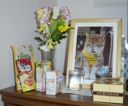 photo1