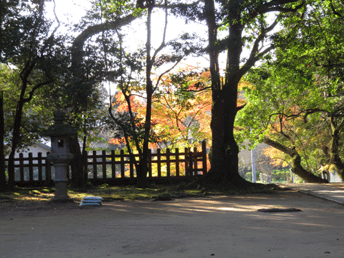 keshiki