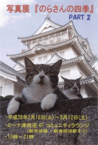 neko