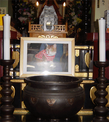 photo1