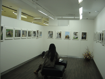 photo1