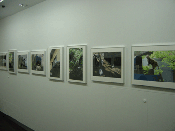 photo2